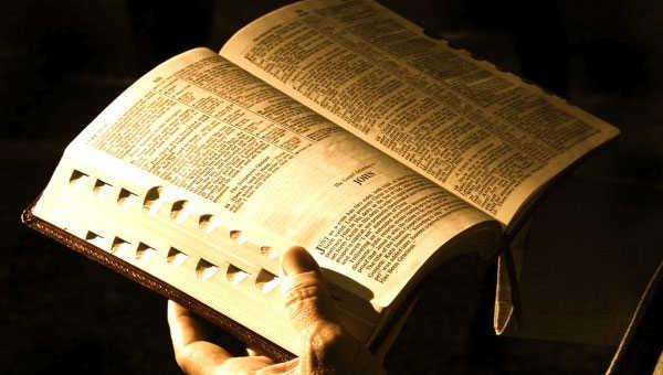 Terça-feira, 11ª semana TC: Reflexão do Evangelho